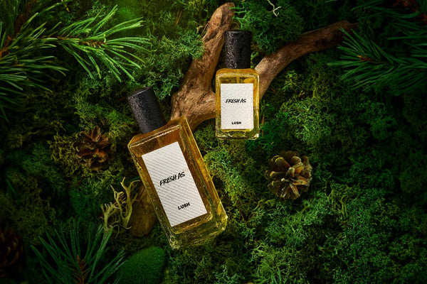 Nauka o dobrom raspoloženju: Psihologija kod profesora Nila Martina