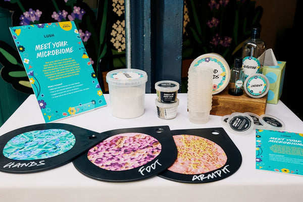 Nova sezona Lush radionica