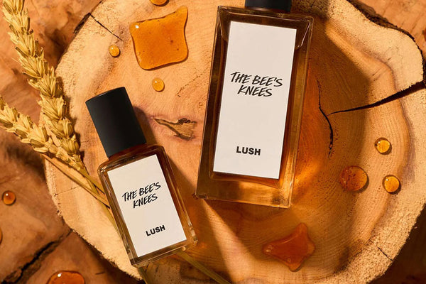 Sastojak koji podstiče bioraznolikost u Brazilu