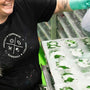 Lush život: Verujemo
