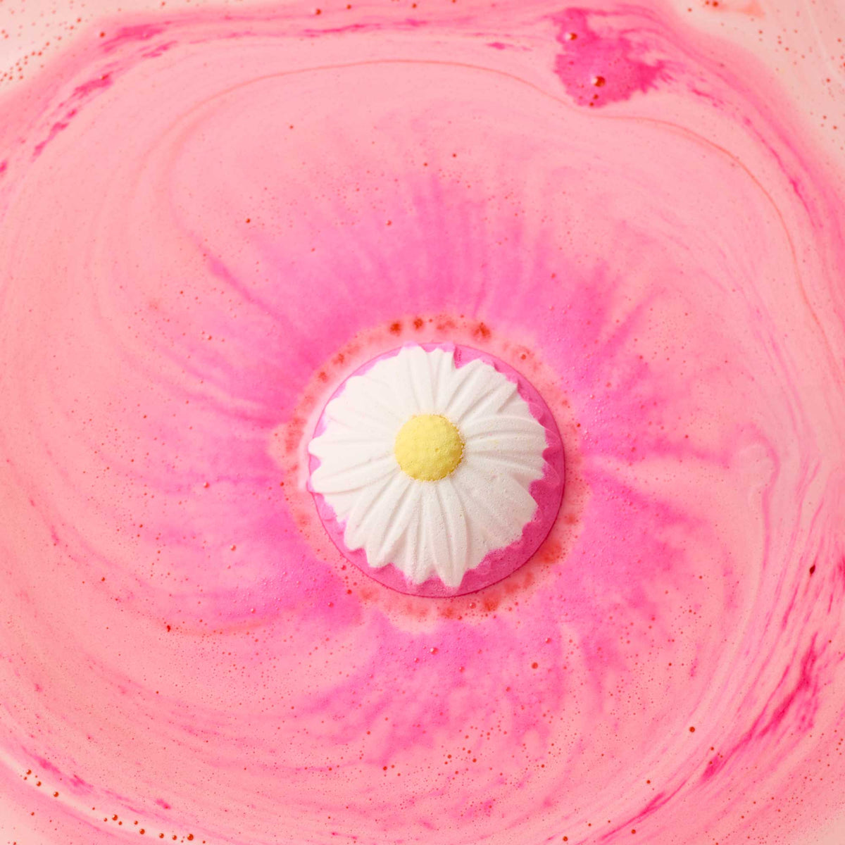 Blooming Beautiful Orange Blossom