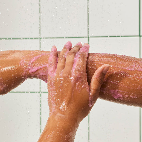 Snow Fairy