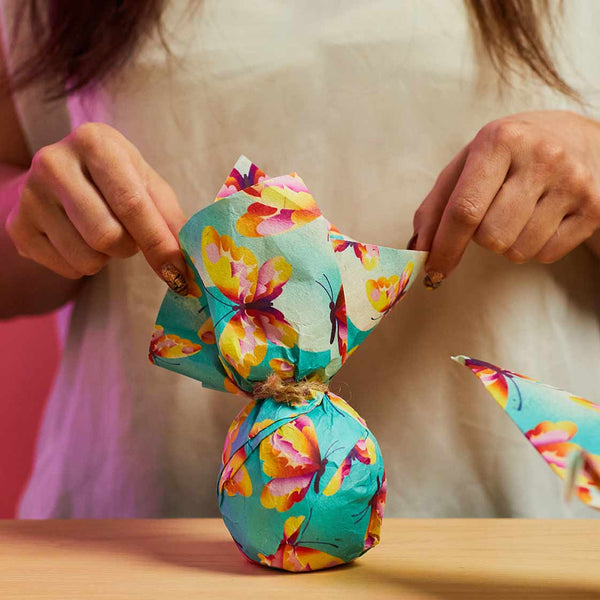 Chase The Butterflies