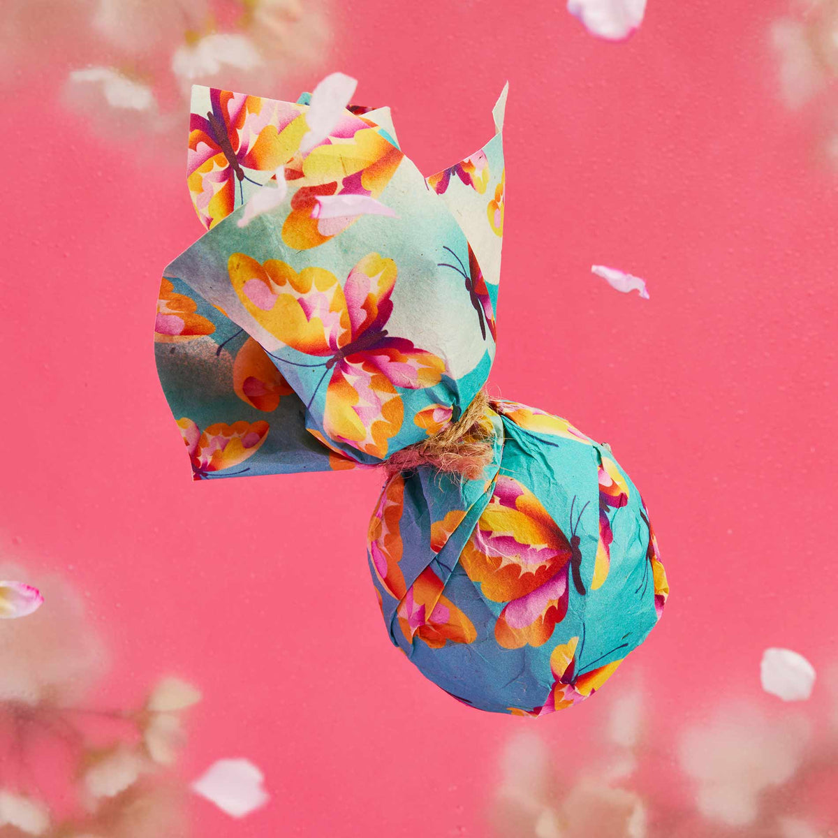 Chase The Butterflies