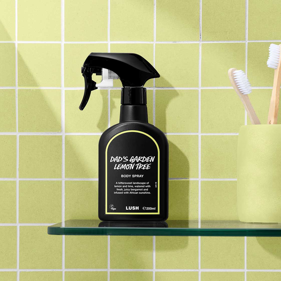 Dad's Garden Lemon Tree