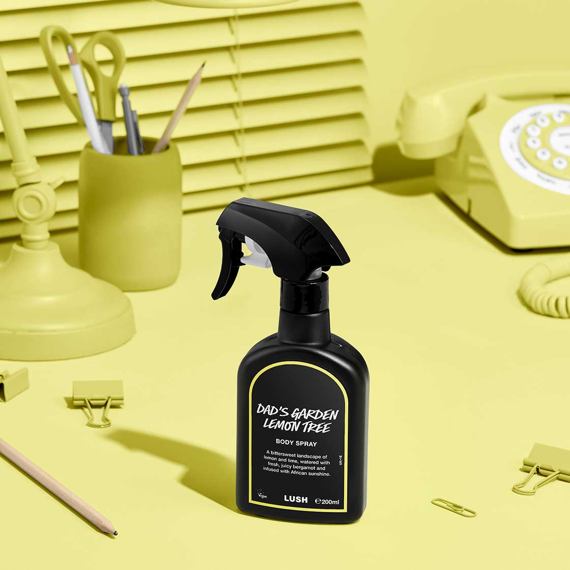 Dad's Garden Lemon Tree